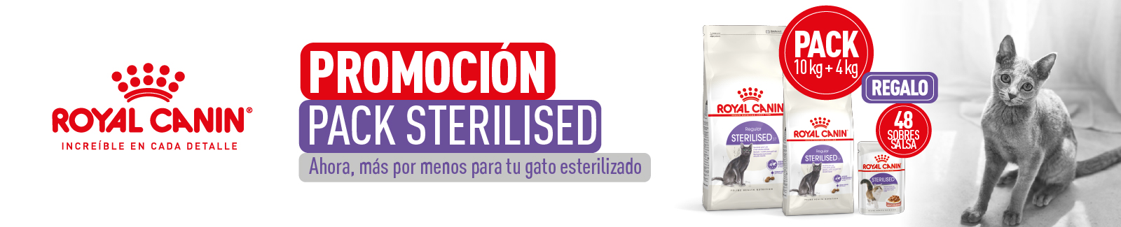Royal Canin Regular Sterilised. Pienso para gatos